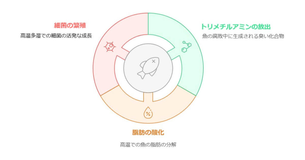 魚の生ごみ(においの原因)